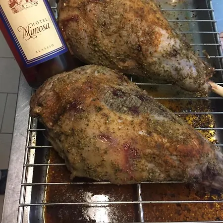 Mimosa فندق
