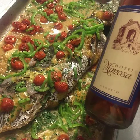 Mimosa Hotel Alassio