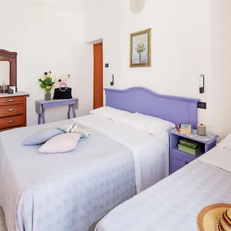 Mimosa Алассіо