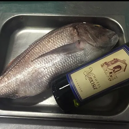 Mimosa Готель Алассіо