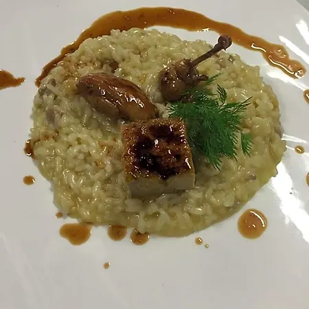 Mimosa Hotel 2*