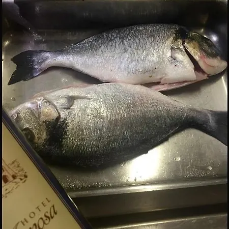 Готель Mimosa 2*