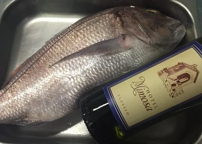 Mimosa Hotel Alassio