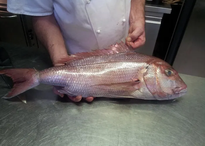 فندق Mimosa ألاسيو