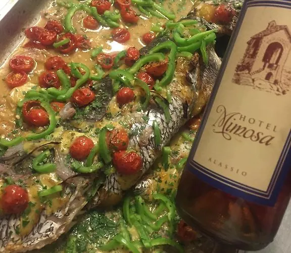 Mimosa فندق ألاسيو